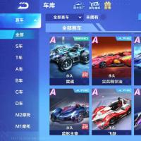 V8 6永久T车 67永久A车 112永久赛车 54宠物 女号 铂金