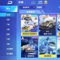 V12 7永久T车 64永久A车 98永久赛车 63宠物 男号 钻石