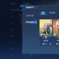 V6 5典藏 19传说 86史诗 317皮肤 永恒钻石II