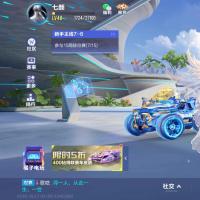 V14 2永久T车 30永久A车 46永久赛车 22宠物 女号 星耀