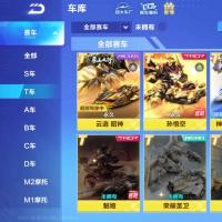 【85级】3T新骑宠/魅娅缘汐/霆光/