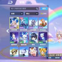 23永久A车 25永久赛车 10宠物 女号 白银