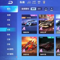 V7 17永久A车 39永久赛车 18宠物 女号 铂金